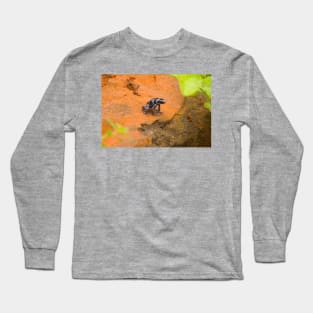 ola blue frog Long Sleeve T-Shirt